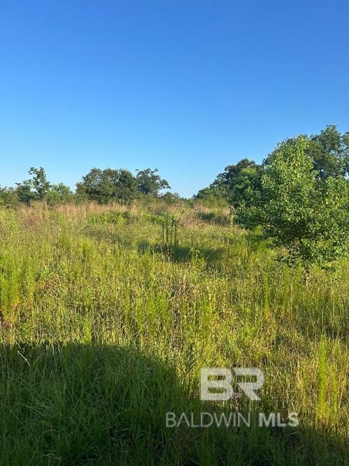 0 Lowery Landing Rd, Brewton, AL, 36426 | Card Image