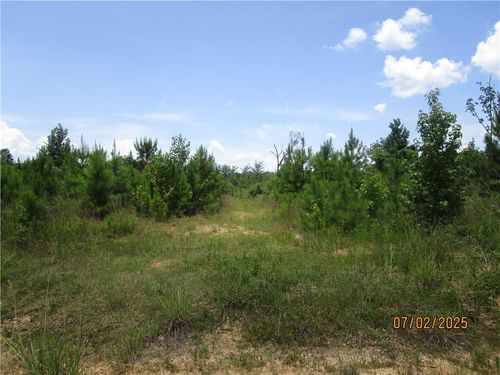 0 Cold Branch Rd, Colfax, LA, 71417 | Card Image