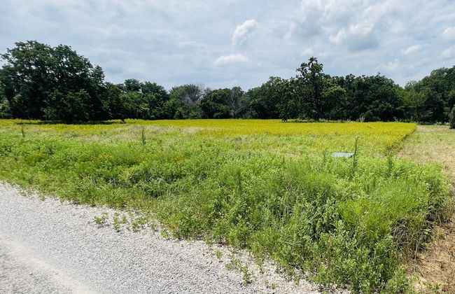 1037 Gonzollas Rd, Home with 0 bedrooms, 0 bathrooms and null parking in Springtown TX | Image 15