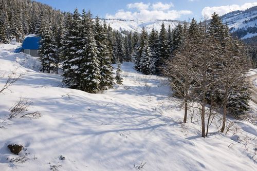 20418 Edelweiss Dr, Agassiz, BC, V0M1A1 | Card Image