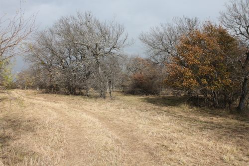 Lot 202 Ridgeline Dr, Chico, TX, 76431 | Card Image