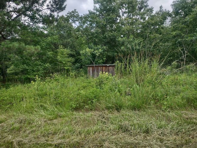 1100 Sapp Rd, House other with 3 bedrooms, 3 bathrooms and 3 parking in Dry Branch GA | Image 24