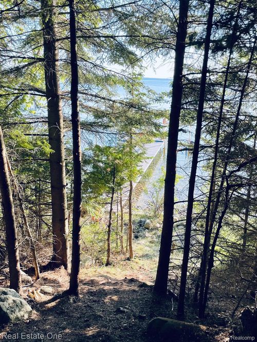 2497 Boy Scout Rd, Indian River, MI, 49749-9531 | Card Image