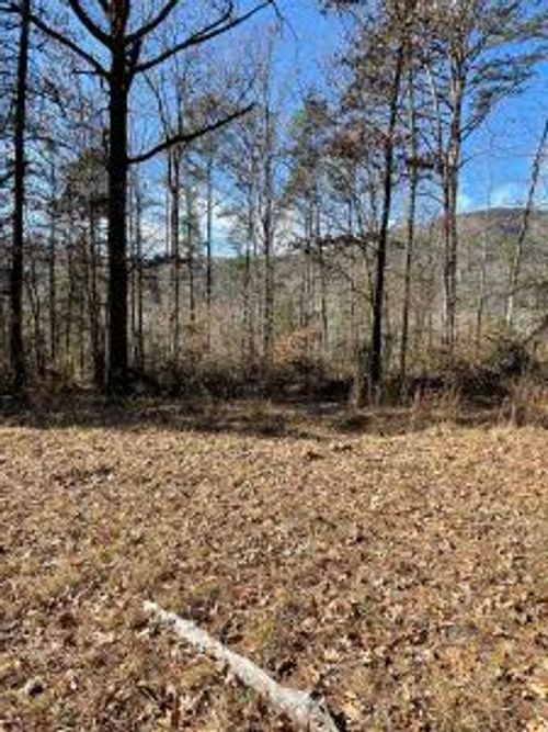 00 Highway 123, Hagarville, AR, 72839 | Card Image