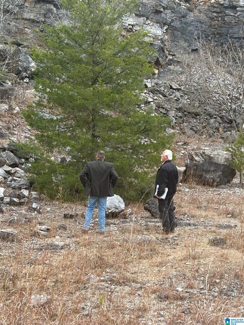 1-0 Rocky Lane, ALPINE, AL, 35014 | Card Image