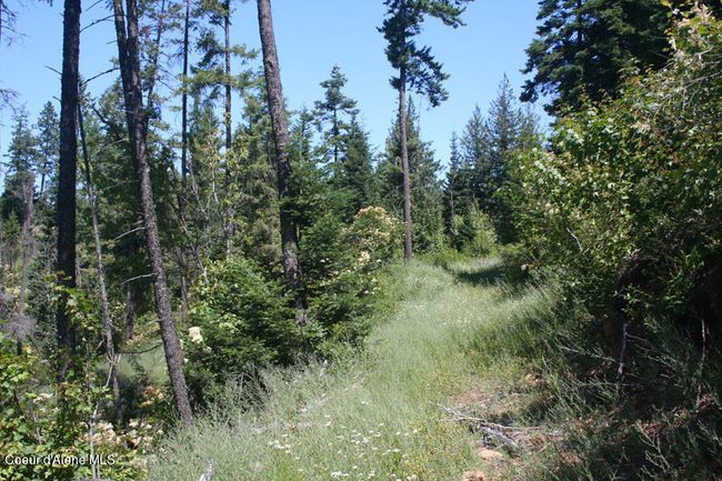 18 Majestic Mountain Rd, Home with 0 bedrooms, 0 bathrooms and null parking in Clark Fork ID | Image 20