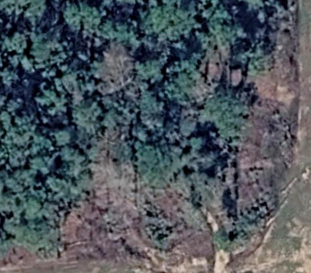 Land in Willis