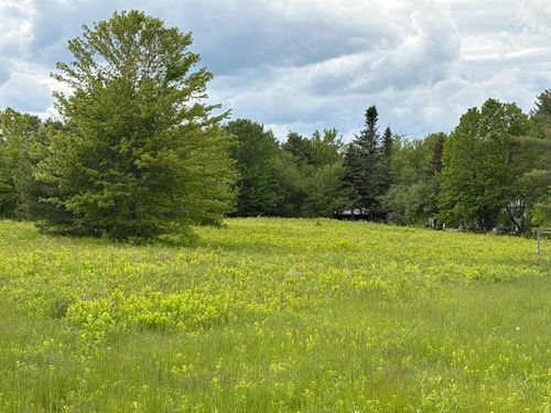 00 Dorchester Rd, Rumney, NH, 03266 | Card Image