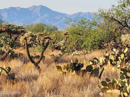 115-15035 S Muldoon Ave, Tucson, AZ, 85736 | Card Image