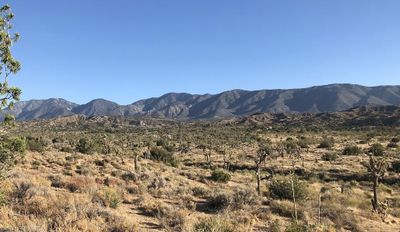 11640 fort tejon 3 | Image 3