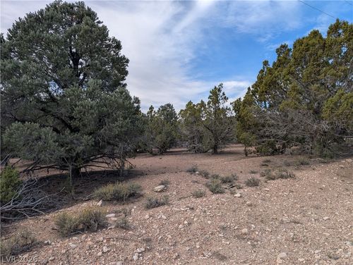 Lot 1-D Side Hill Rd, Pioche, NV, 89043 | Card Image