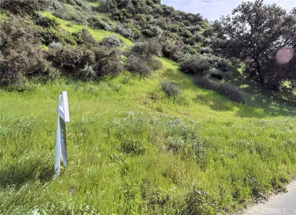 Land in Castaic 2