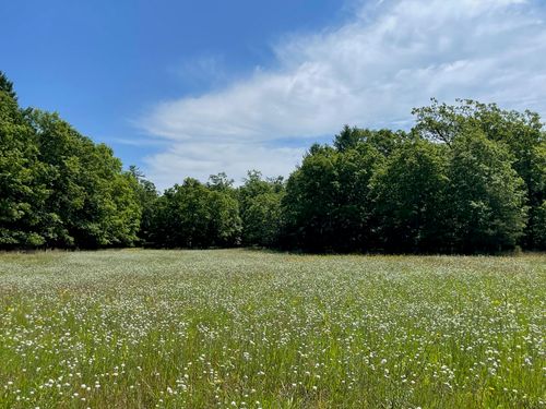 e-10652 N River Road, Irons, MI, 49644 | Card Image
