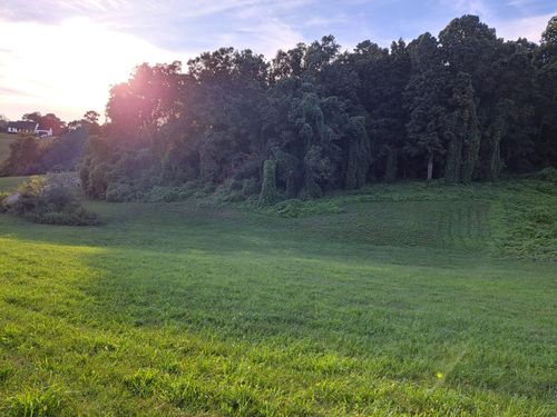 56 Cow Poke Ln, Rutledge, TN, 37861 | Card Image