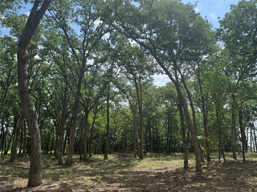 1216 Buck Trail, Pottsboro, TX, 75076 | Card Image