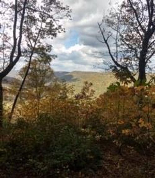 Lot 84 Buckeye Ln, Wilder, TN, 38589 | Card Image