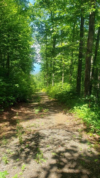 View down Hartwell Lane | Image 2