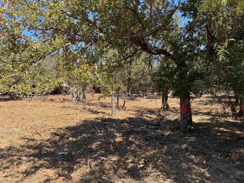 Lots 288 & 289 Maple Drive, Granite Shoals, TX, 78654 | Card Image