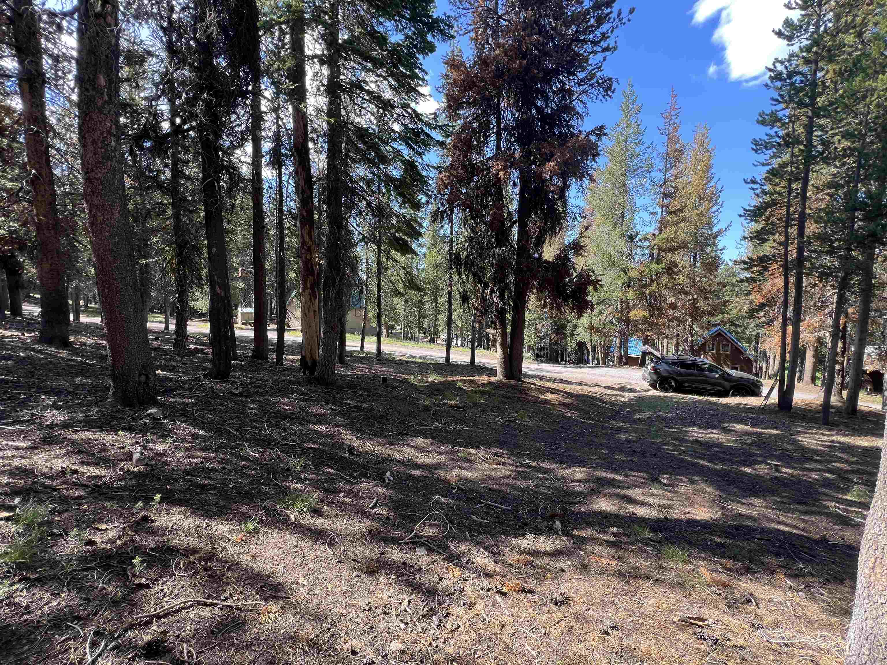Land in McCloud 4