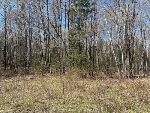 0 Hemlock Rd, Trout Creek, ON, P0H2L0 | Card Image