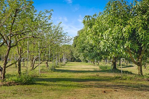 3057 D Rd, Loxahatchee Groves, FL, 33470-4666 | Card Image