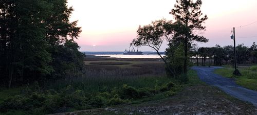 8 Yellow House Pl, Charleston, SC, 29492 | Card Image