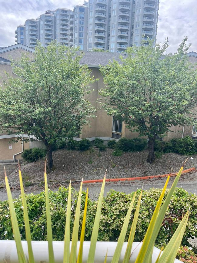 View of yard | Image 31