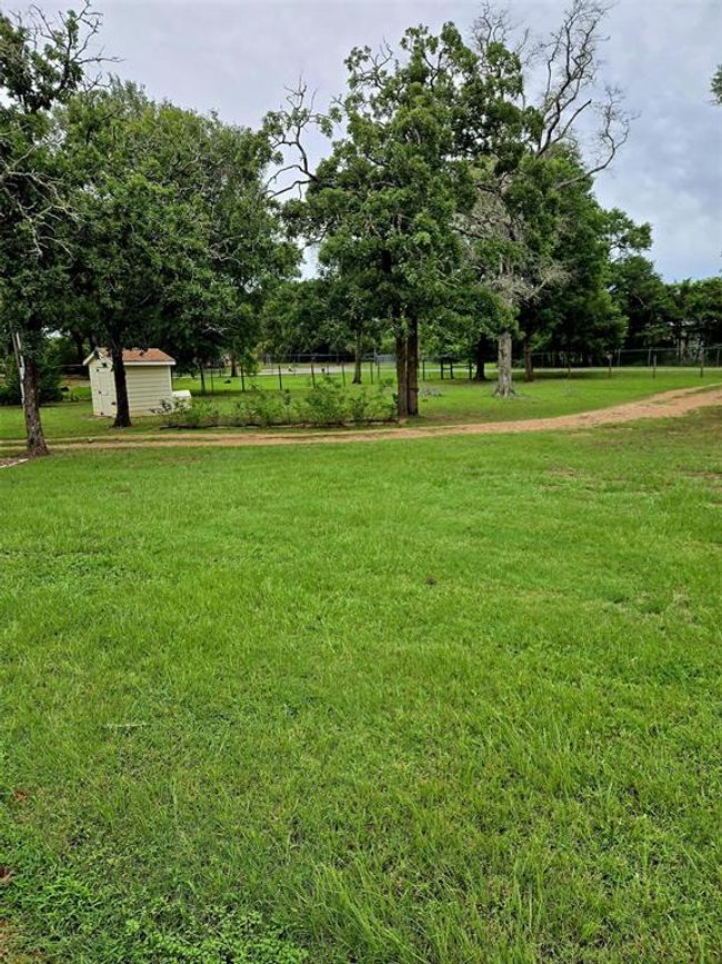 Another view of the serene yard. | Image 33