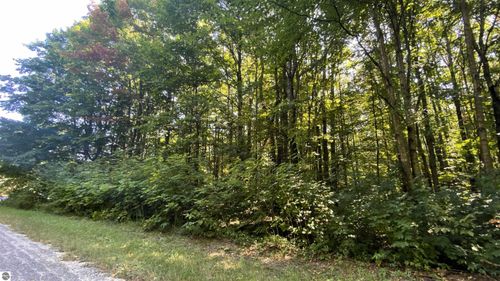 Lot 466 Northwood Dr, Elmira, MI, 49730 | Card Image