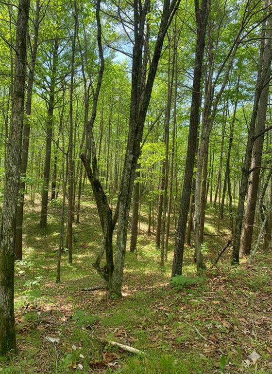 Land in Broken Bow 4