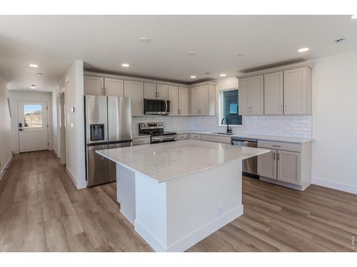 981 Trumpet Ln, Windsor, CO, 80550 | Card Image