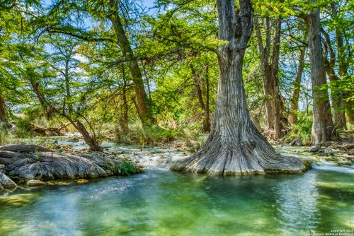 192 Fm 2828, Medina, TX, 78055 | Card Image