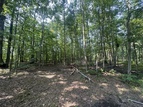 0 S Pinson Dr, White House, TN, 37188 | Card Image