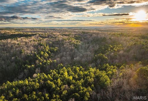 62 Slaughter Rd, Licking, MO, 65542 | Card Image