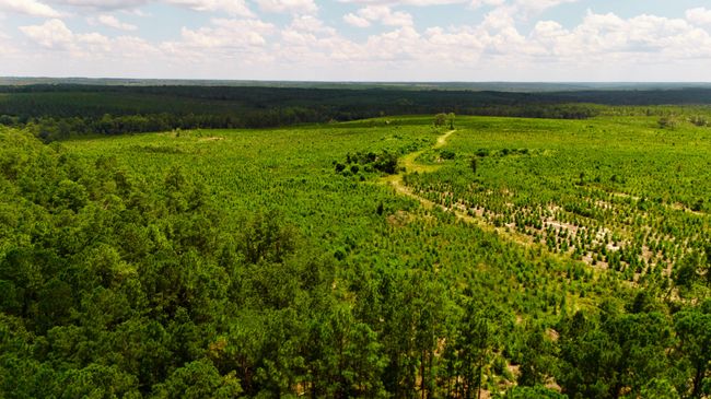1 Three Notch Rd, Home with 0 bedrooms, 0 bathrooms and null parking in Monetta SC | Image 13