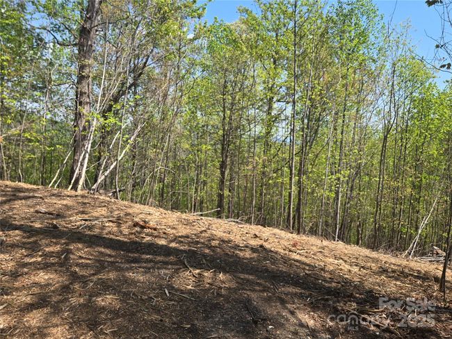 Lot 32 High Rock Rdg, Home with 0 bedrooms, 0 bathrooms and null parking in Lake Lure NC | Image 9