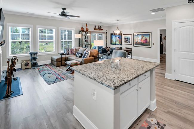 521 Mitscher Way, House other with 3 bedrooms, 2 bathrooms and null parking in Chapin SC | Image 14