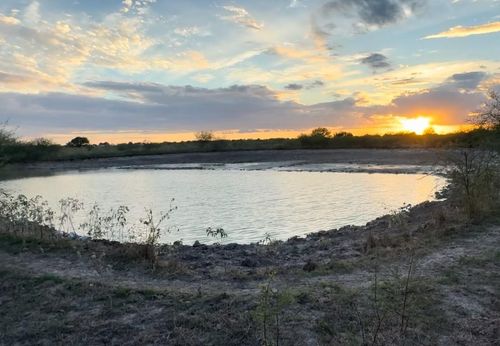 29-36847 Richard Frey Rd, Hempstead, TX, 77445-3846 | Card Image