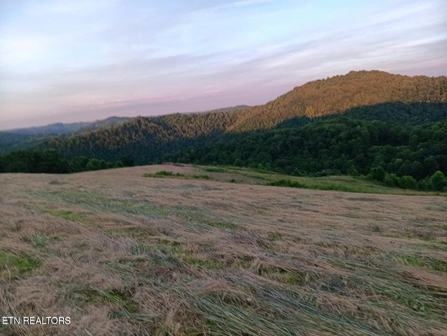 170 Ball Ridge Rd, Home with 0 bedrooms, 0 bathrooms and null parking in Cumberland Gap TN | Image 11