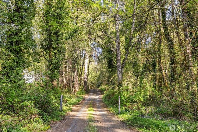 3231 E State Route 302, House other with 4 bedrooms, 3 bathrooms and 5 parking in Belfair WA | Image 38