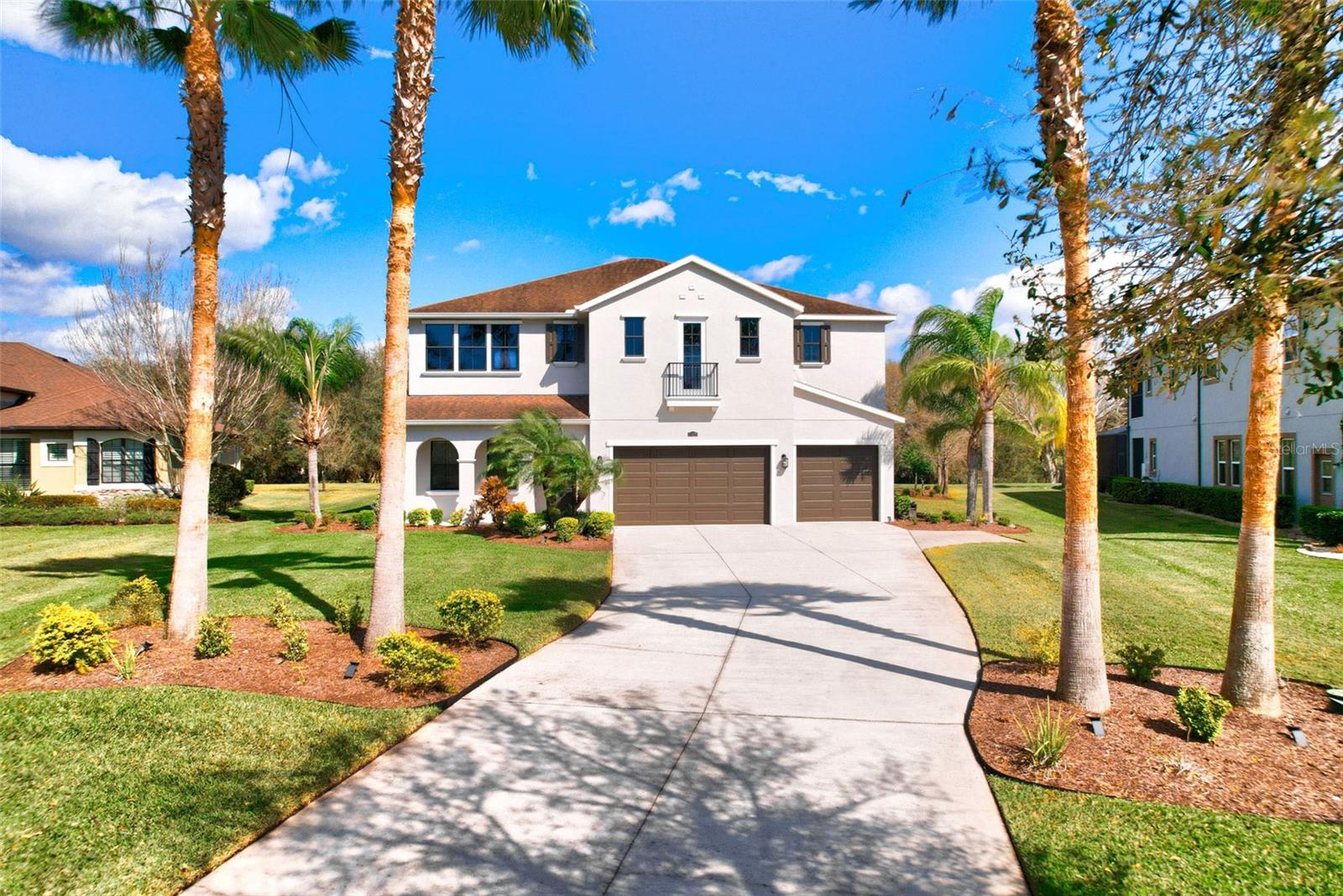 Newcastle Field Dr, Lutz, FL 33559