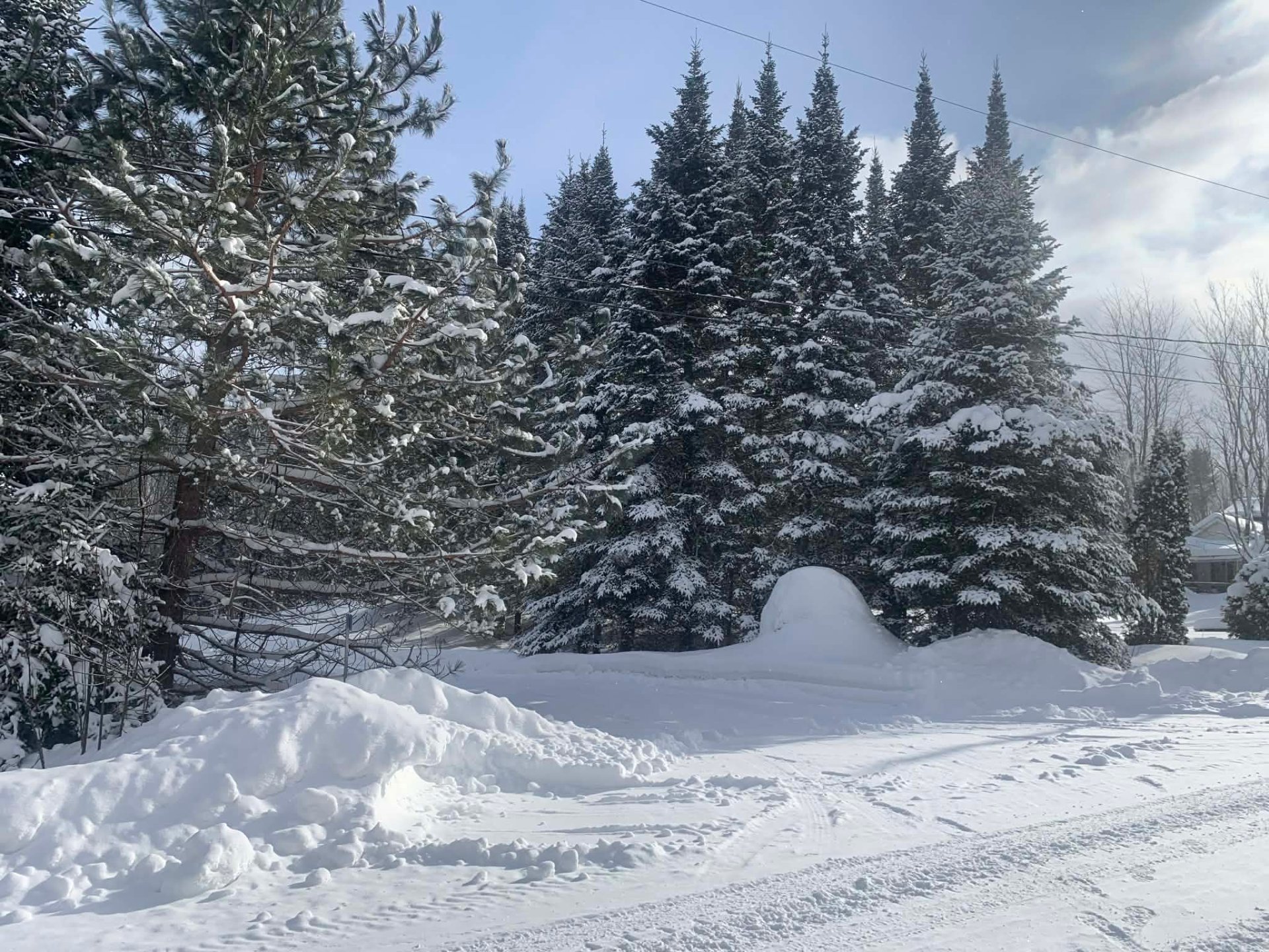 Residential in Notre-Dame-des-Bois 4