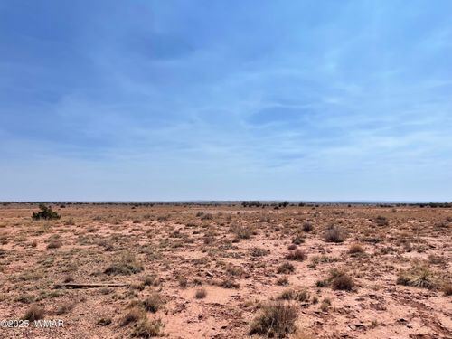 8191 E Concho Highway Parcel D, Snowflake, AZ, 85937 | Card Image