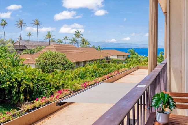 302 - 45 Kai Ala Dr, Condo with 1 bedrooms, 1 bathrooms and null parking in Lahaina HI | Image 10