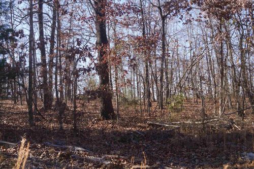 TBD Highway 63 N, Hardy, AR, 72542 | Card Image