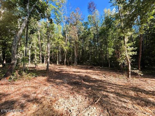 Tract 4 Pleasant Hill Rd, Ten Mile, TN, 37880 | Card Image