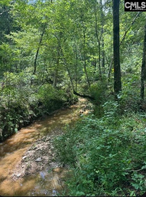 Lot L Salem Branch Rd, Saluda, SC, 29138 | Card Image