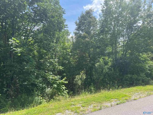 Lot 1 Meadow Creek Rd, Glencoe, AL, 35905-9422 | Card Image