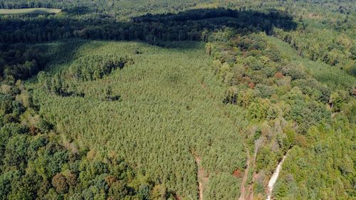 0 Haglersville Rd, Henry, TN, 38231 | Card Image