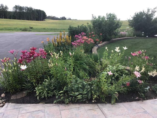 3318 Township Road 400, House other with 4 bedrooms, 4 bathrooms and 6 parking in Rural Lacombe County AB | Image 45